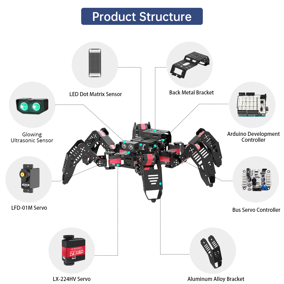Hiwonder Spiderbot Programmabl - đánh giá và giá Robot Kit