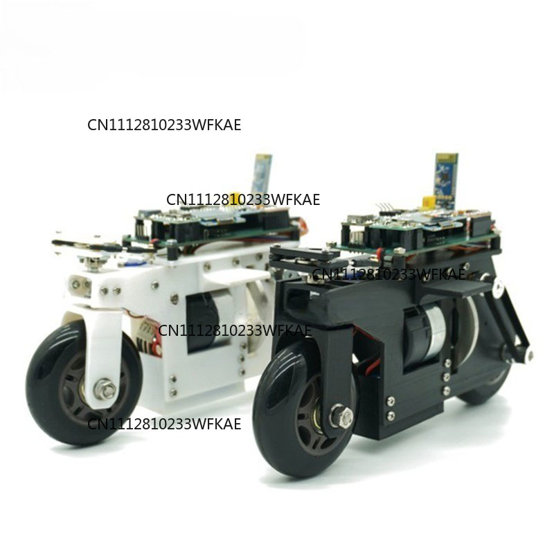 2WD RC Balance Bike Cubli Self - đánh giá và giá Stm32 Robot