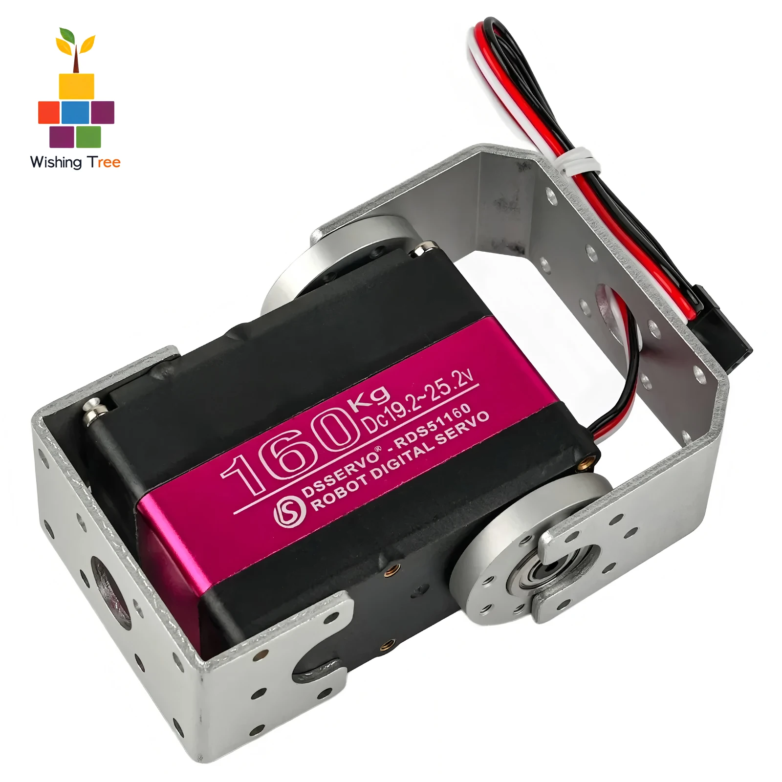 RDS51160 Digital Servo 24V 160 - đánh giá và giá Servo Bracket