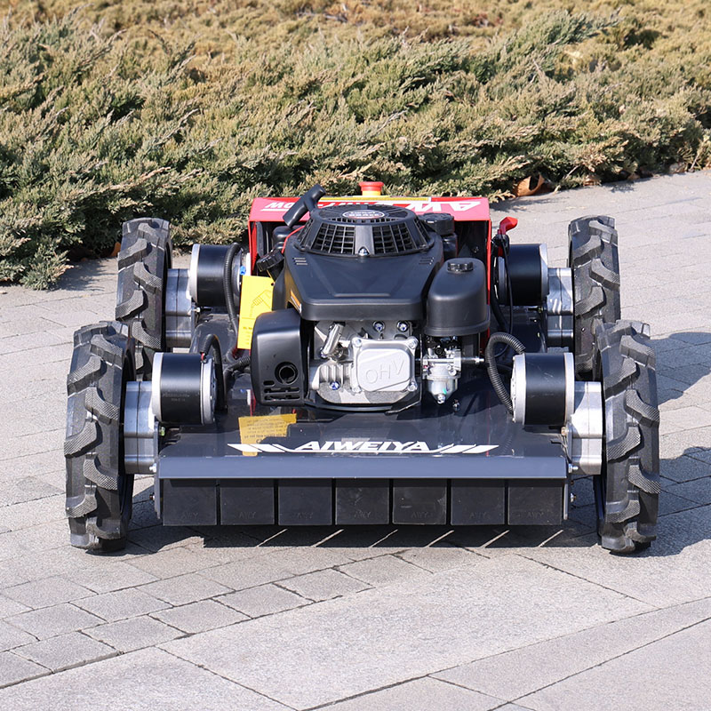 customized Remote Control Robo - đánh giá và giá Robot Wheel